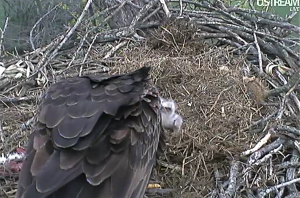 ScreenHunter_40 Mar. 31 19.16.jpg